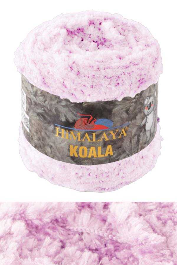 Himalaya Koala - 75712