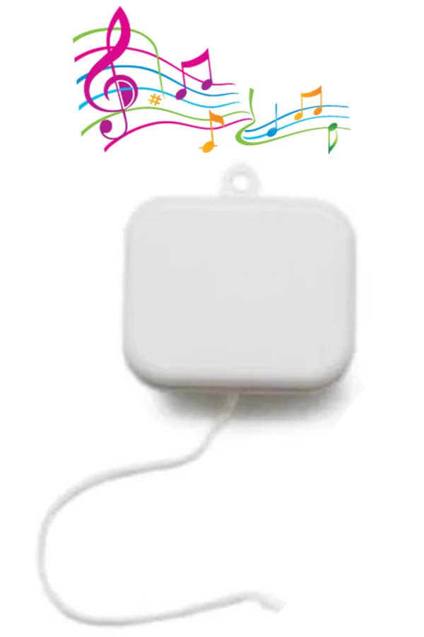 Music Box Sound Apparatus With String