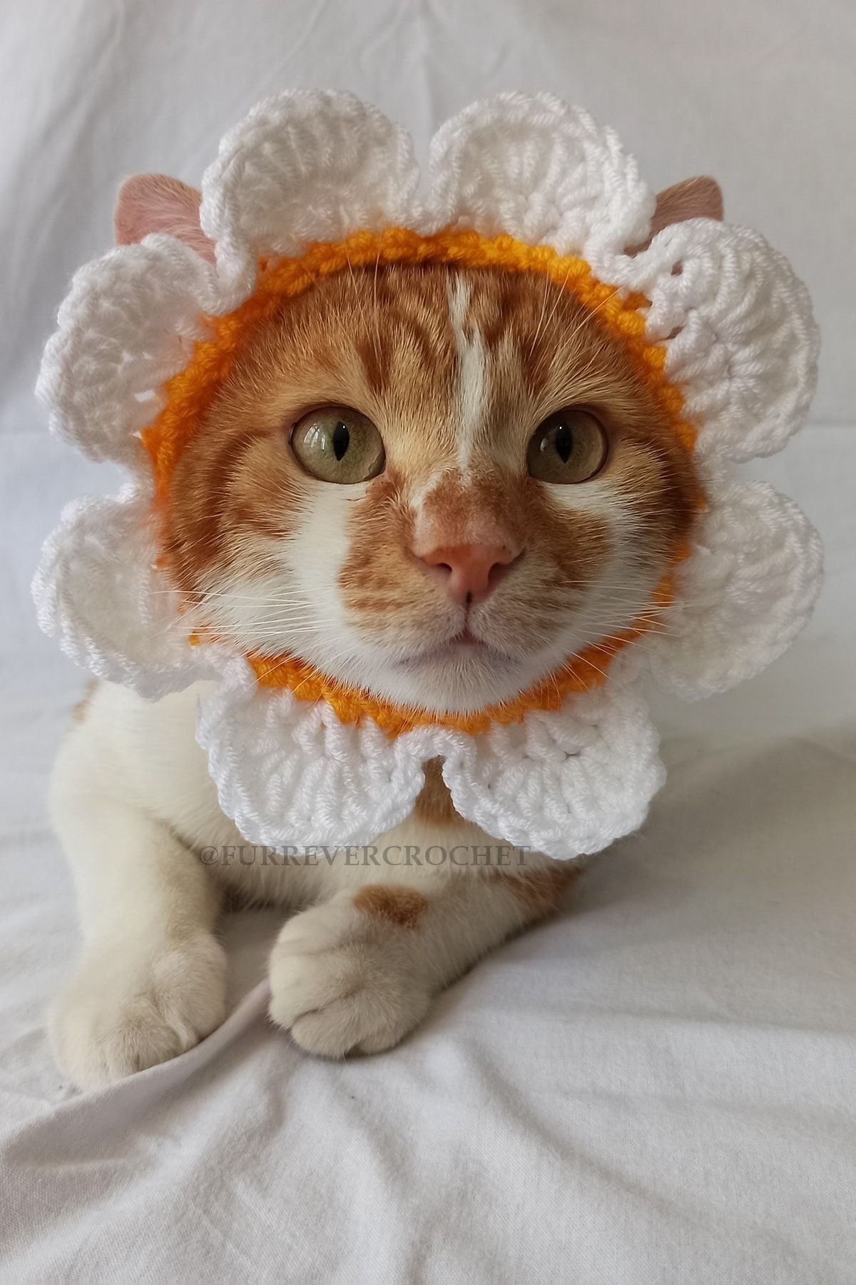 Handmade Daisy Bandana – Crochet Pet Hat for Cats &amp; Dogs