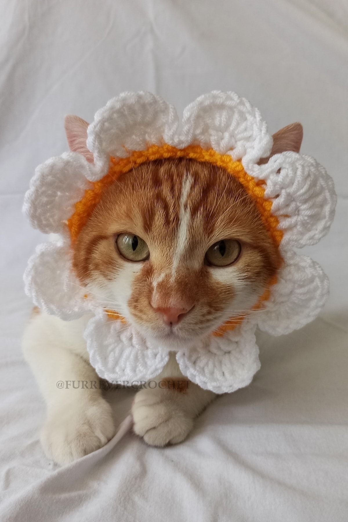 Handmade Daisy Bandana – Crochet Pet Hat for Cats &amp; Dogs