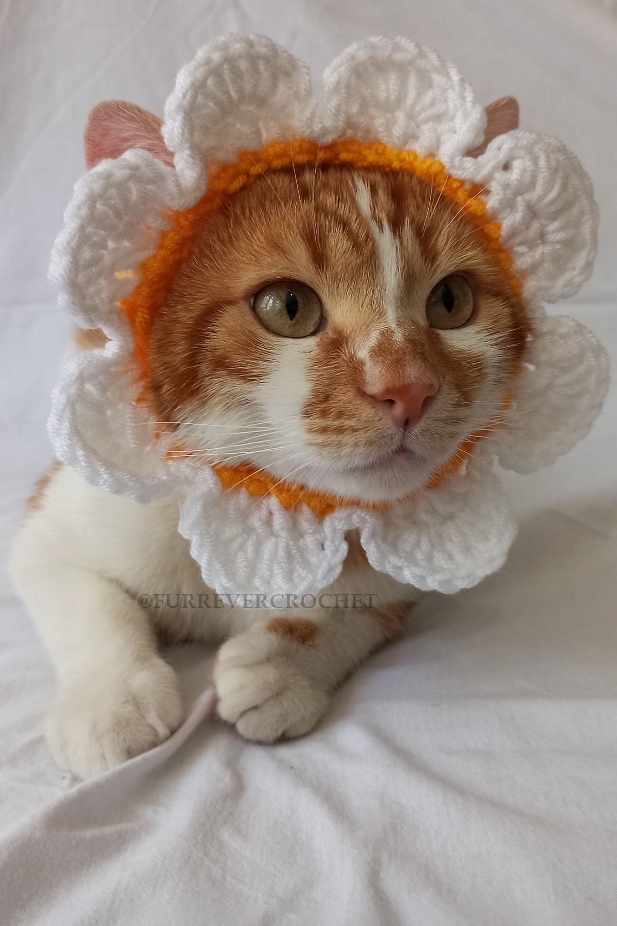 Handmade Daisy Bandana – Crochet Pet Hat for Cats &amp; Dogs