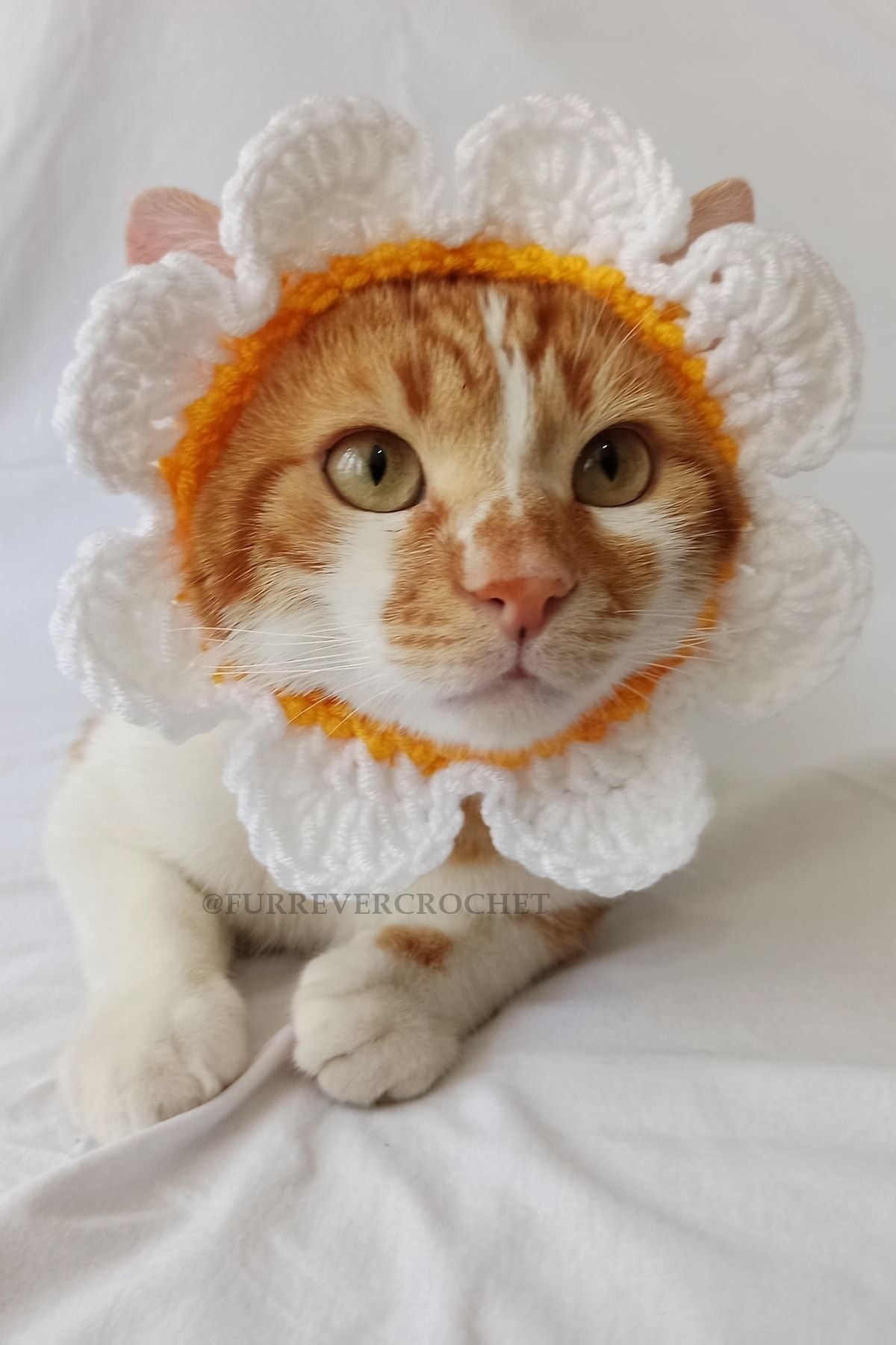 Handmade Daisy Bandana – Crochet Pet Hat for Cats &amp; Dogs
