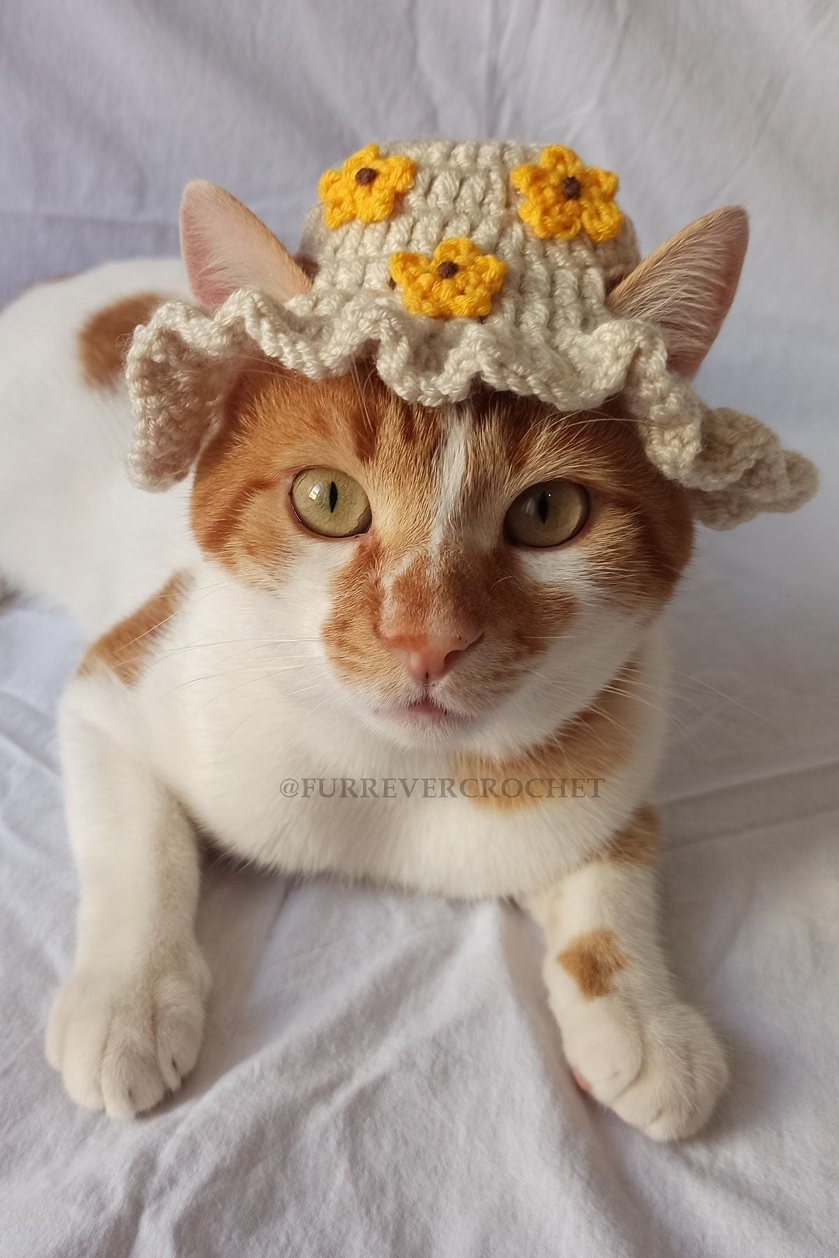 Crochet Hats Kitty Hats For Cats CROCHET PATTERN: Chicken Hat For