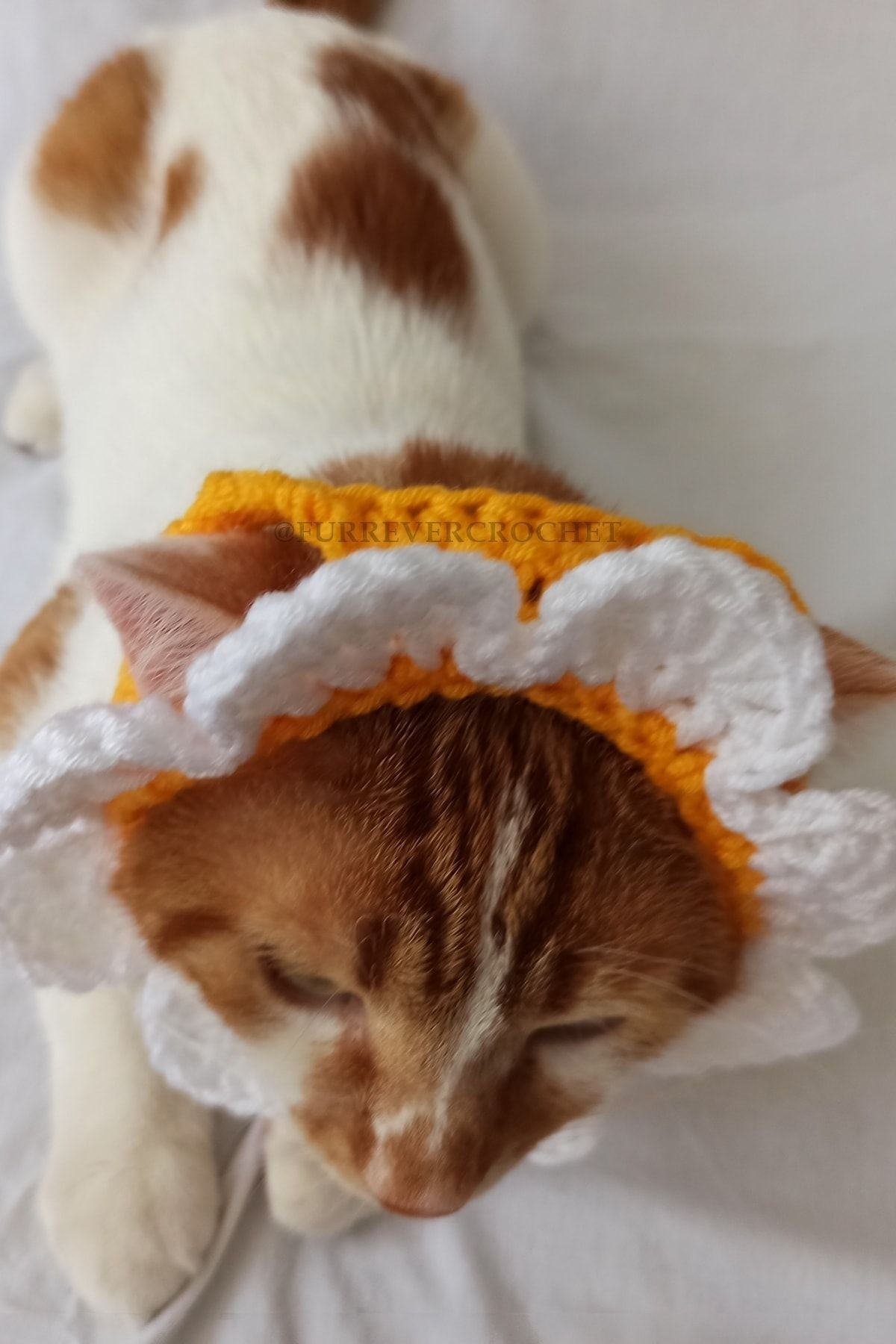 Handmade Daisy Bandana – Crochet Pet Hat for Cats &amp; Dogs