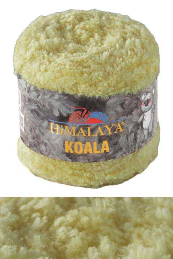 Himalaya Koala - 75722